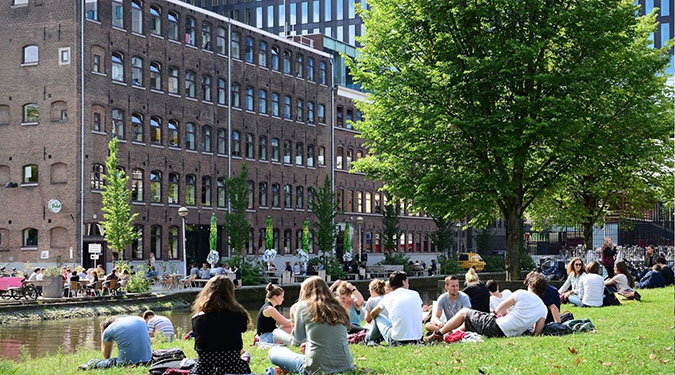 Высшее образование в Нидерландах: как выбрать ВУЗ и поступить туда