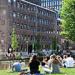 Высшее образование в Нидерландах: как выбрать ВУЗ и поступить туда